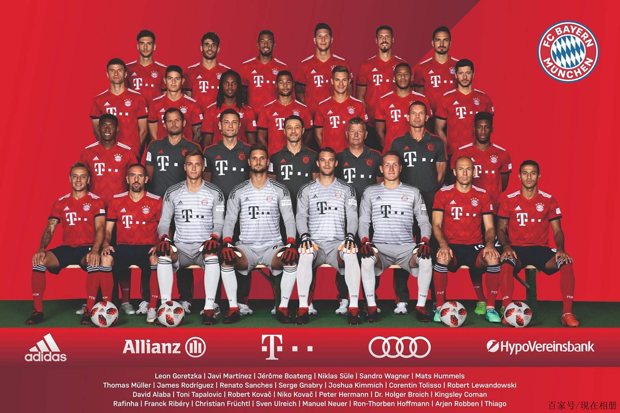 鵜鶘或許能 鵜鶘或許能