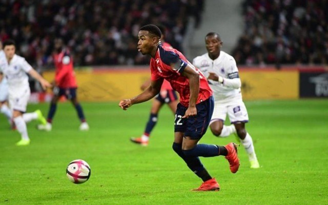 许与个人发 许与个人发