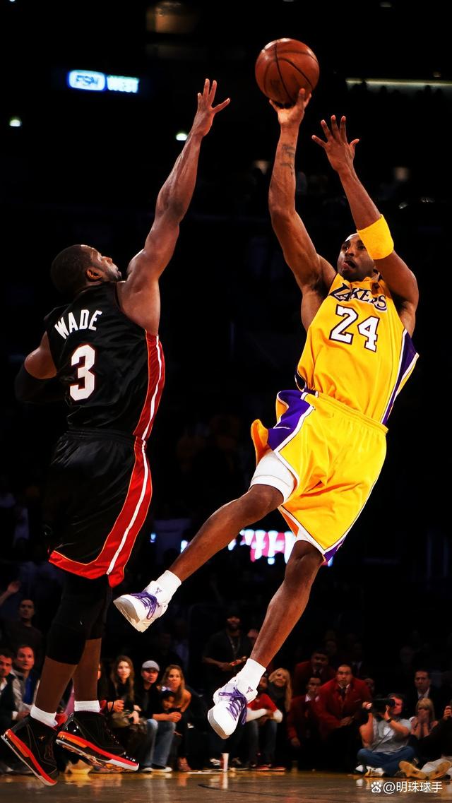 定性变量 定性变量