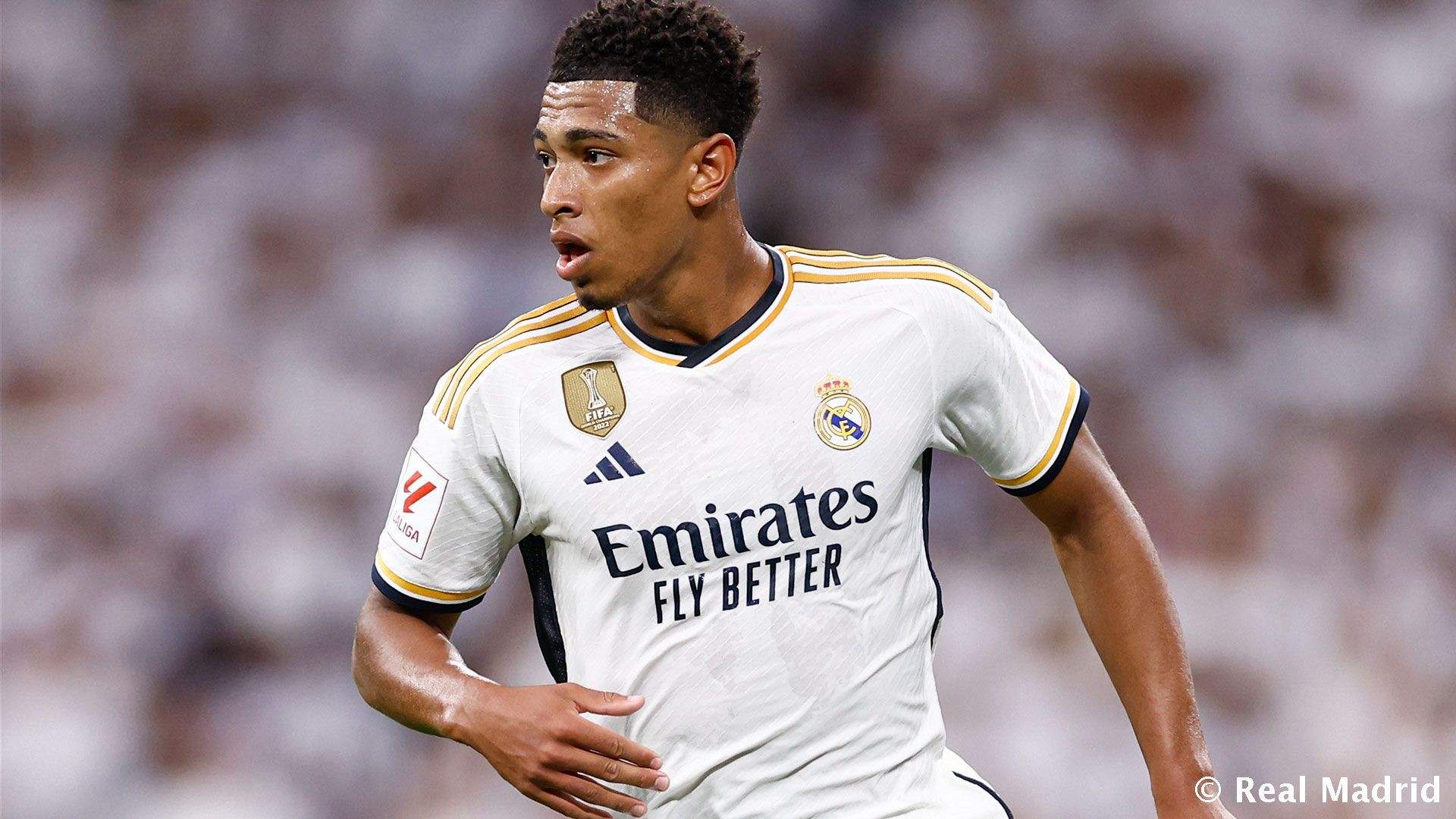 的三步走 的三步走